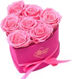 27-Piece Forever Flower Heart Shape Box - Preserved Roses, Immortal Roses for Her Eternal Rose Preserved Flowers for Delivery Prime Mothers Day & Valentines Day - Red