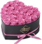 27-Piece Forever Flower Heart Shape Box - Preserved Roses, Immortal Roses for Her Eternal Rose Preserved Flowers for Delivery Prime Mothers Day & Valentines Day - Red