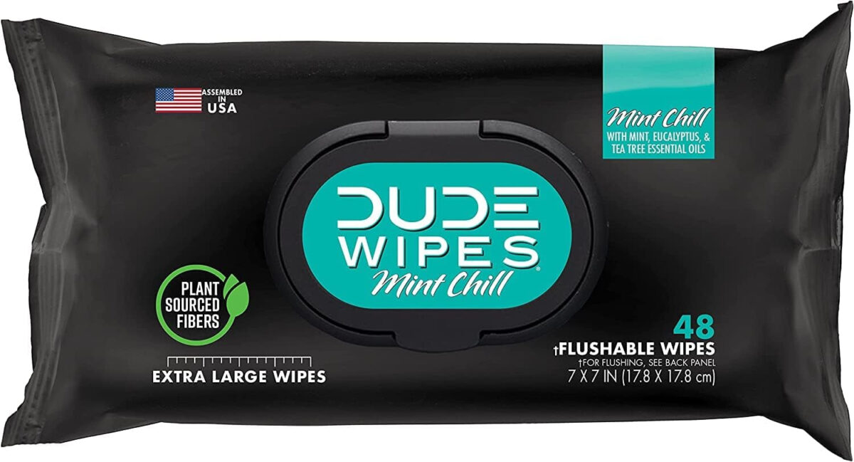 DUDE Wipes - Flushable Wipes - 2 Pack, 96 Wipes - Unscented (48Ct) & Mint Chill (48Ct) Extra-Large Adult Wet Wipes