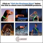 ILLUMISEEN LED Dog Collar USB Rechargeable - Bright & High Visibility Lighted Glow Collar for Pet Night Walking - Weatherproof, in 6 Colors & 6 Sizes (Green Medium)