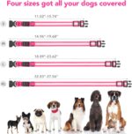 Vizpet LED Dog Collar, Light up Dog Collar Adjustable USB Rechargeable Super Bright Safety Light Glowing Collars for Dogs (Medium, Pink)