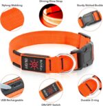 Illumifun Light up Dog Collar, USB Rechargeable LED Dog Collar, Adjustable Flashing Dog Safety Collar Light for Dogs Walking at Night (Orange, Medium)