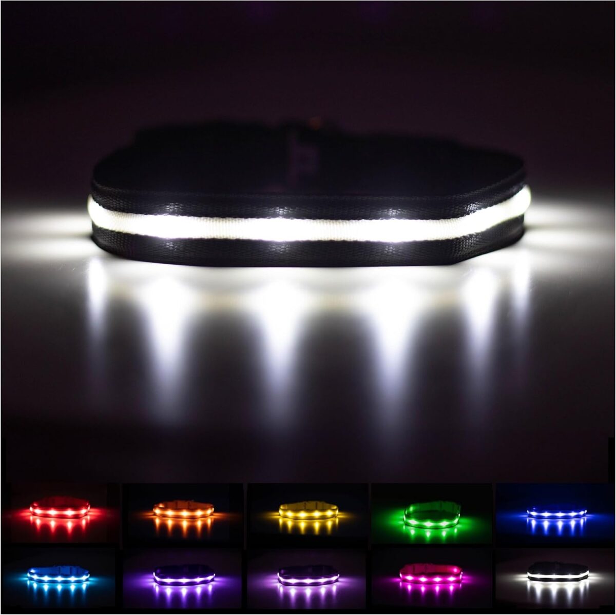 BLAZIN Brightest Light up Dog Collars - the Original LED Dog Collar with 1,000 Feet of Visibility - USB Rechargeable Waterproof Dog Collar Light - Dog Lights for Night Walking - USA Brand