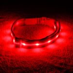 BLAZIN Brightest Light up Dog Collars - the Original LED Dog Collar with 1,000 Feet of Visibility - USB Rechargeable Waterproof Dog Collar Light - Dog Lights for Night Walking - USA Brand