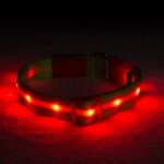 BLAZIN Brightest Light up Dog Collars - the Original LED Dog Collar with 1,000 Feet of Visibility - USB Rechargeable Waterproof Dog Collar Light - Dog Lights for Night Walking - USA Brand