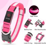 Vizpet LED Dog Collar, Light up Dog Collar Adjustable USB Rechargeable Super Bright Safety Light Glowing Collars for Dogs (Medium, Pink)