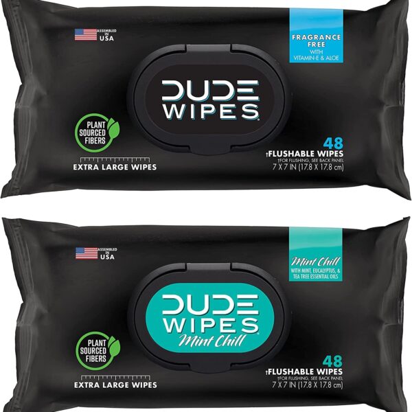 DUDE Wipes - Flushable Wipes - 2 Pack, 96 Wipes - Unscented (48Ct) & Mint Chill (48Ct) Extra-Large Adult Wet Wipes