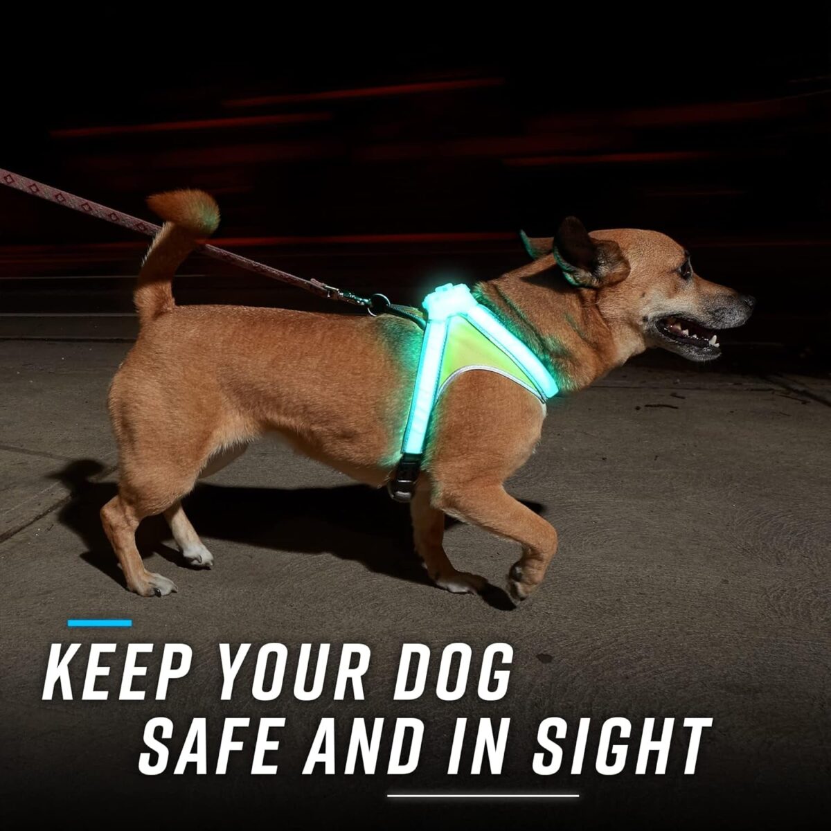 Noxgear Lighthound – Revolutionary Illuminated and Reflective Harness for Dogs Including Multicolored LED Fiber Optics (USB Rechargeable, Adjustable, Lightweight, Rainproof) (Large)