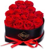 27-Piece Forever Flower Heart Shape Box - Preserved Roses, Immortal Roses for Her Eternal Rose Preserved Flowers for Delivery Prime Mothers Day & Valentines Day - Red