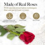 27-Piece Forever Flower Heart Shape Box - Preserved Roses, Immortal Roses for Her Eternal Rose Preserved Flowers for Delivery Prime Mothers Day & Valentines Day - Red