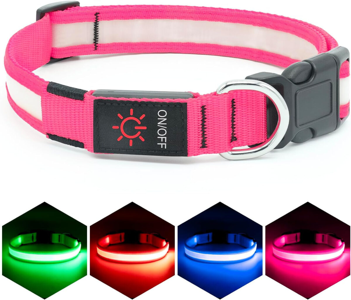 Vizpet LED Dog Collar, Light up Dog Collar Adjustable USB Rechargeable Super Bright Safety Light Glowing Collars for Dogs (Medium, Pink)