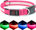 Vizpet LED Dog Collar, Light up Dog Collar Adjustable USB Rechargeable Super Bright Safety Light Glowing Collars for Dogs (Medium, Pink)