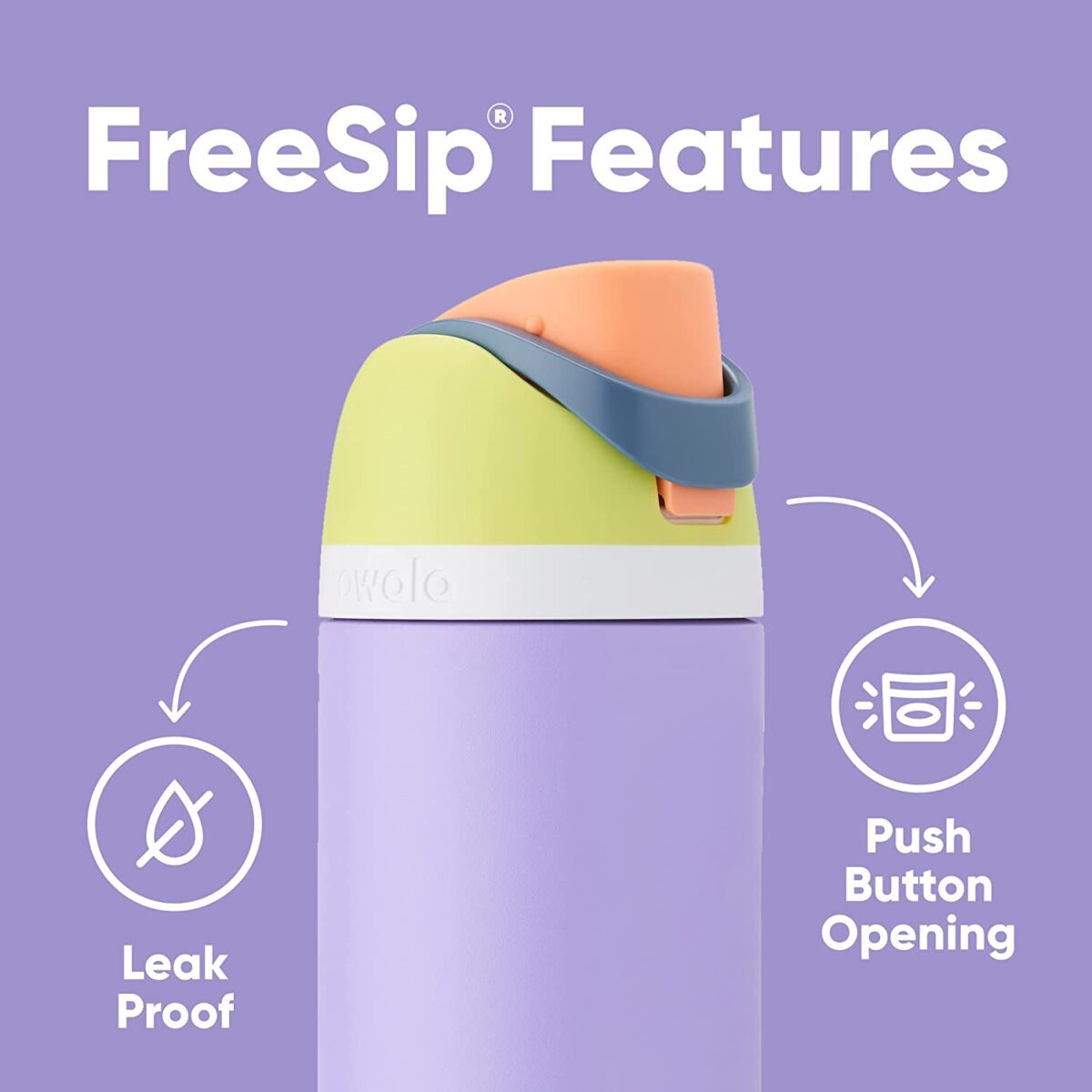 Owala Freesip Insulated Stainless Steel Water Bottle with Straw for Sports, Travel, and School Bpa-Free Sports Water Bottle, 32 Oz, Summer Sweetness