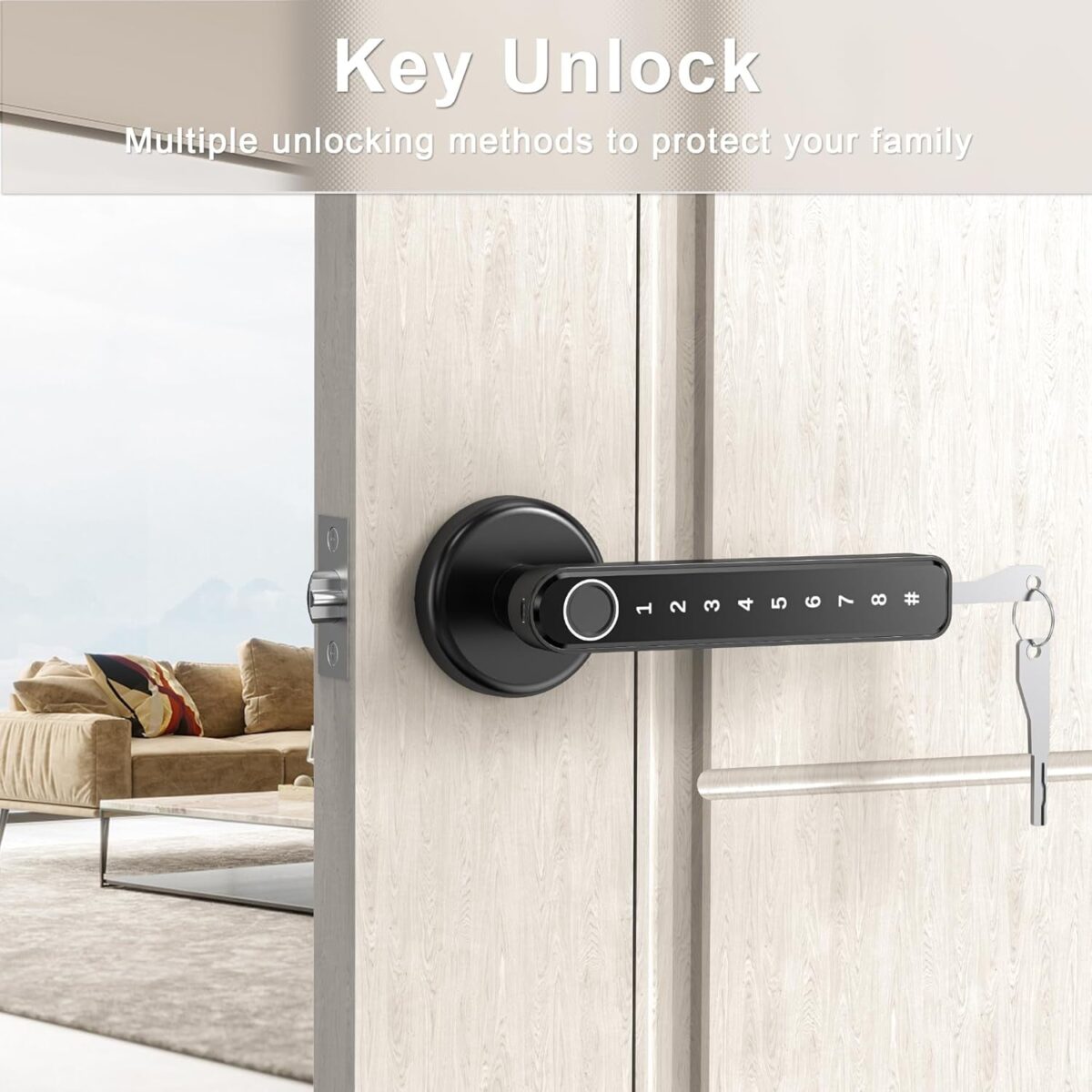 IRONZON Fingerprint Door Lock Door Knob with Keypad Keyless Entry Door Lock with Handle for Home Hotel Office Apartment Bedroom Black(F190)