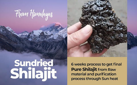 shilajit, sundried shilajit, salajeet, salajit