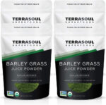 Terrasoul Superfoods Organic Barley Grass Juice Powder, 5 Oz - USA Grown | Made from Concentrated Juice | Superior to Barley Grass