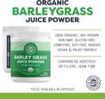 Vimergy Barley Grass Juice Powder – Clean Superfood Formula – Promotes Cardiovascular Health* – Organic, Vegan & Gluten-Free – Regular Size 250G