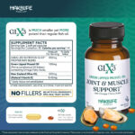 GLX3 Joint Support Extra Strength Omega-3 Supplement | Premium New Zealand Green Lipped Mussel Oil - Comfort, Flexibility, Muscle Recovery - ETA EPA DHA Omega 3 Supplement Capsules by Haka Life